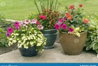 How to plant flowers in pots