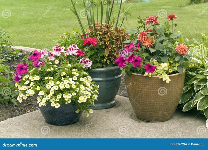 How to plant flowers in pots