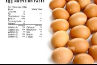 Egg roll nutrition facts